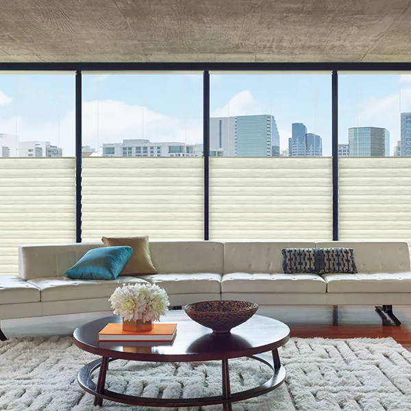 Hunter Douglas Window treatments in Southern California