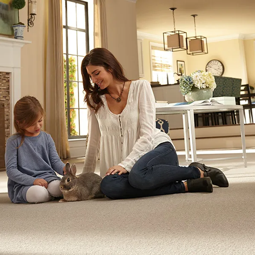 Carpet inspiration at Century Flooring & Decor in Rialto, CA